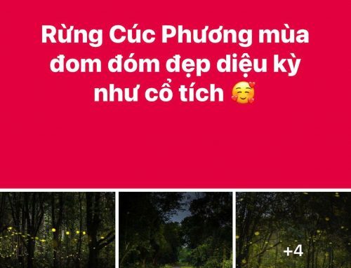 Hướng dẫn đăng bài Facebook có chữ nền màu và ảnh cùng lúc